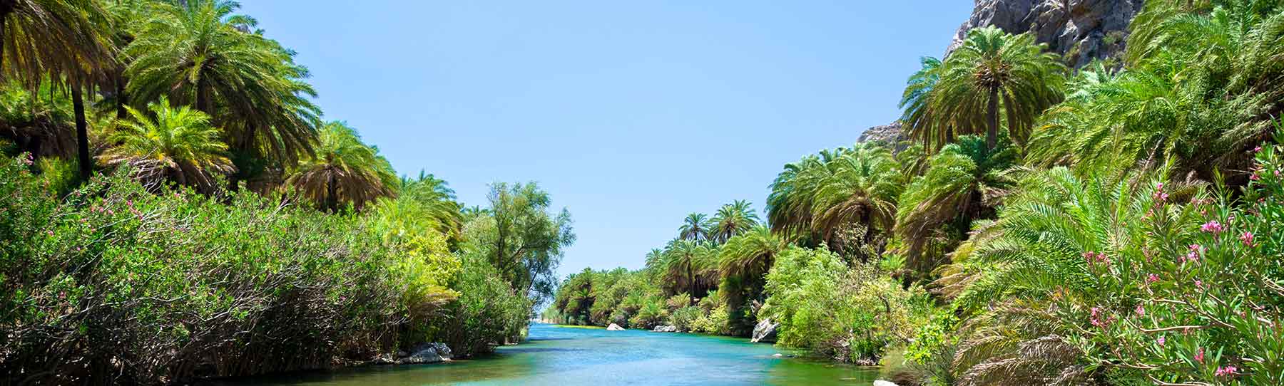 Preveli Strand Fluss Megas Potamos mit Theophrastus Palmen